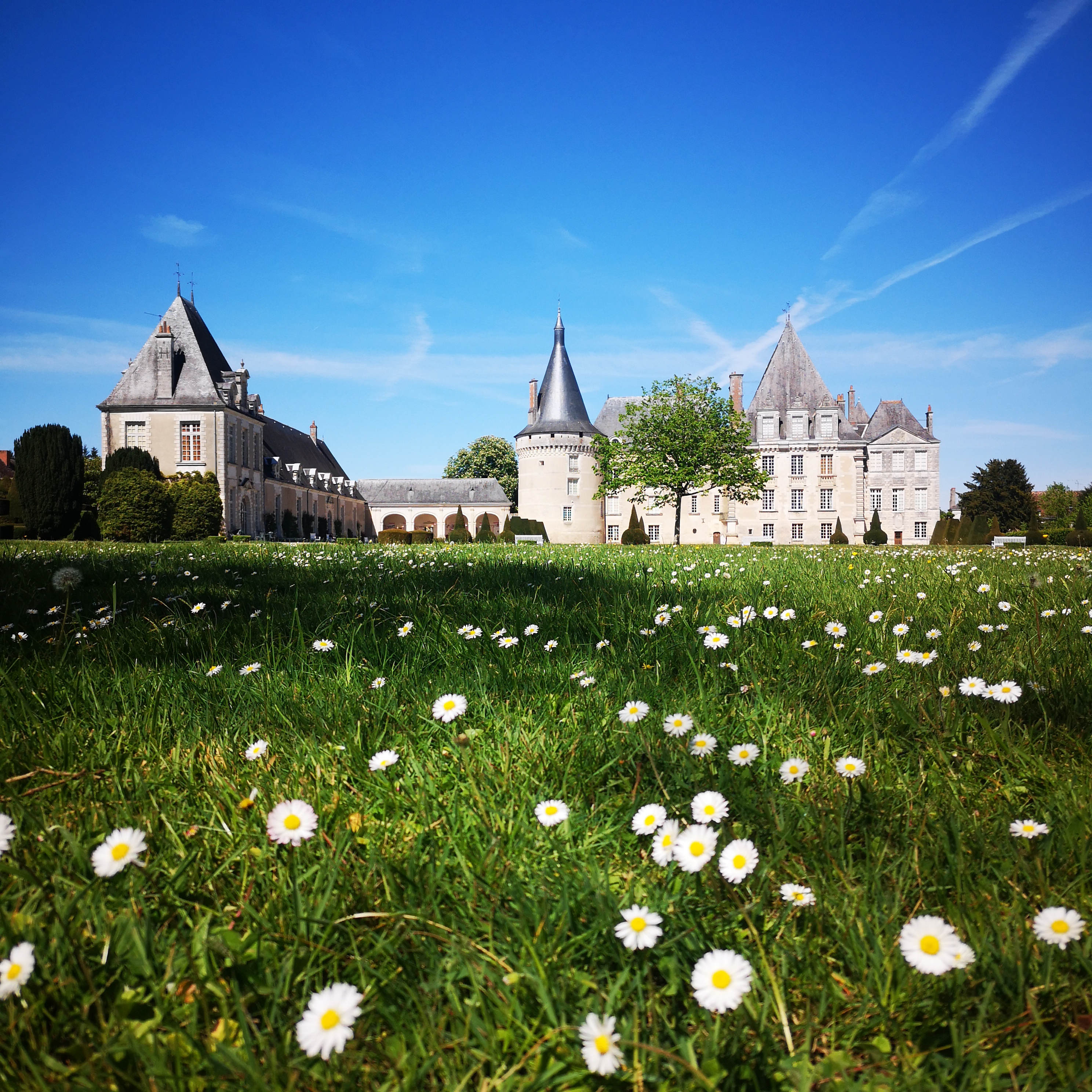 IMG 20260419 152935