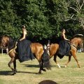 2-chevaux