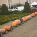 concours-citrouilles