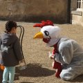 poule