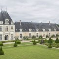 L'aile Cingé