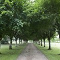 Parc et jardins