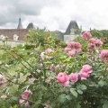 Parc et jardins