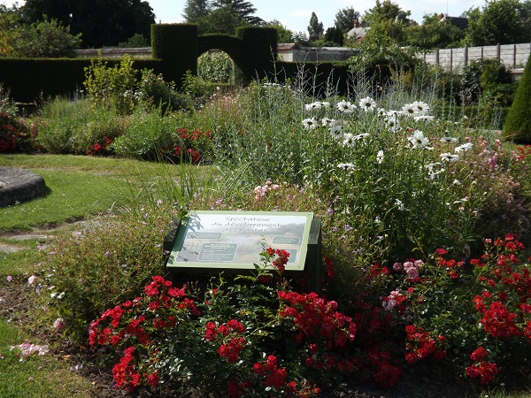 jardin-fleuri